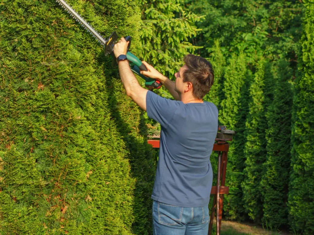 Landscape design consultation and planning in Port St. Lucie, FL