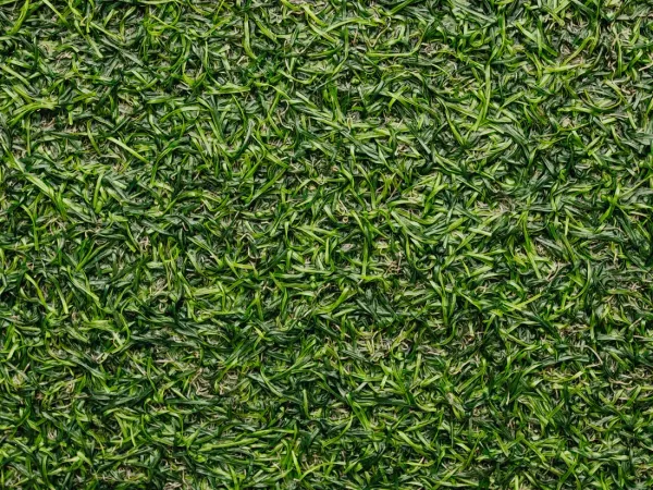 Sod installation in Stuart, FL